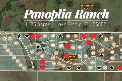 Land in Lake Placid, Florida № 1643032 - photo 2