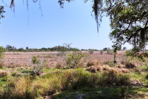 Land in Lake Placid, Florida № 1643032 - photo 15
