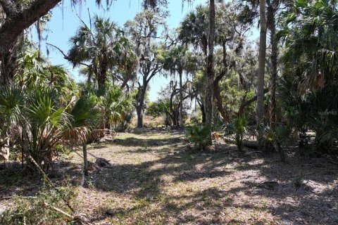 Land in Lake Placid, Florida № 1643032 - photo 3