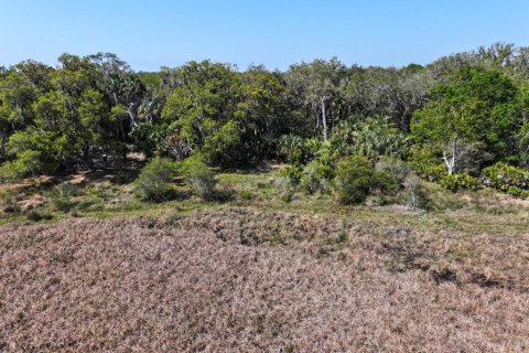 Land in Lake Placid, Florida № 1643032 - photo 6