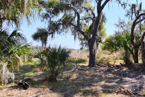 Land in Lake Placid, Florida № 1643032 - photo 14
