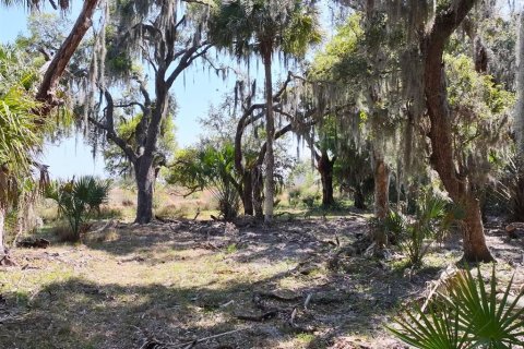 Land in Lake Placid, Florida № 1643032 - photo 13