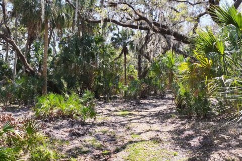 Land in Lake Placid, Florida № 1643032 - photo 11