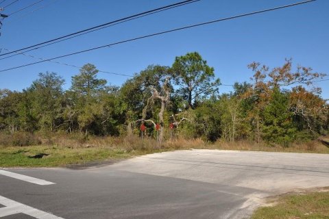 Terrain à vendre à Brooksville, Floride № 213341 - photo 2