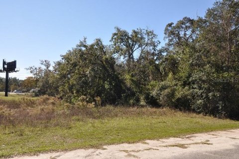 Terrain à vendre à Brooksville, Floride № 213341 - photo 6