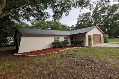 House in Odessa, Florida 3 bedrooms, 148.74 sq.m. № 1807389 - photo 1