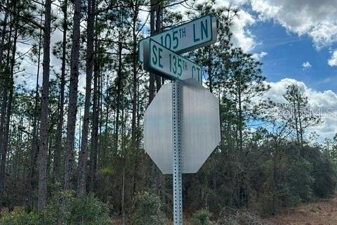 Land in Dunnellon, Florida № 2161839 - photo 4