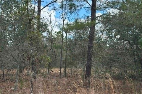 Land in Dunnellon, Florida № 2161839 - photo 6