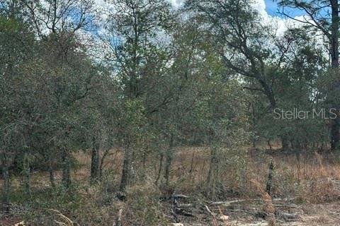 Land in Dunnellon, Florida № 2161839 - photo 7