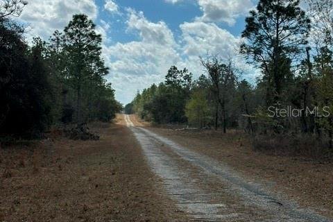 Land in Dunnellon, Florida № 2161839 - photo 5