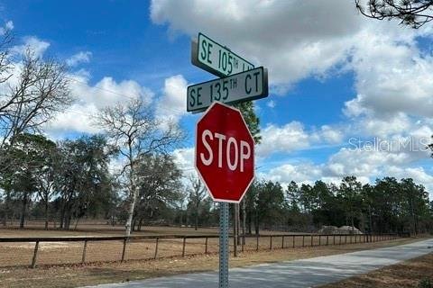 Land in Dunnellon, Florida № 2161839 - photo 3