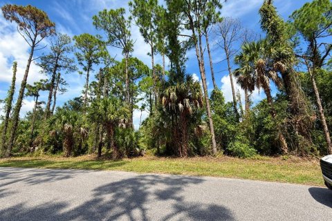 Land in North Port, Florida № 2378136 - photo 2