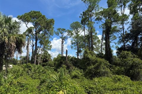 Land in North Port, Florida № 2378136 - photo 5