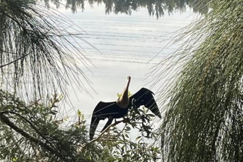 Купить кондоминиум в Дания-Бич, Флорида 1 комната, 80.82м2, № 1932910 - фото 25