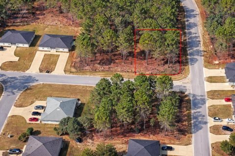 Terreno en Dunnellon, Florida № 2122838