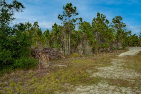 Land in Punta Gorda, Florida № 2161636 - photo 16