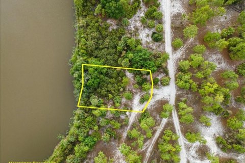 Land in Punta Gorda, Florida № 2161636 - photo 14