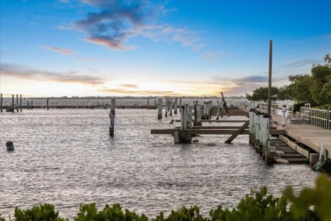 Land in Punta Gorda, Florida № 2161636 - photo 22