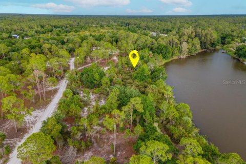Land in Punta Gorda, Florida № 2161636 - photo 10