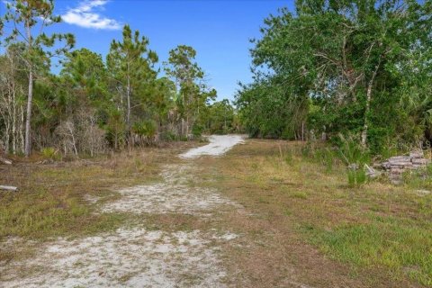 Land in Punta Gorda, Florida № 2161636 - photo 18