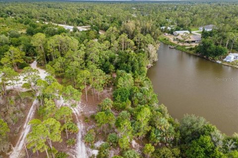 Land in Punta Gorda, Florida № 2161636 - photo 13