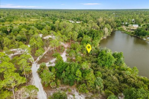 Land in Punta Gorda, Florida № 2161636 - photo 11