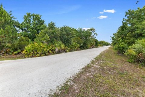 Land in Punta Gorda, Florida № 2161636 - photo 20