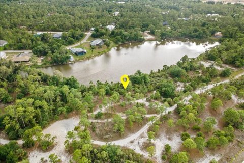 Land in Punta Gorda, Florida № 2161636 - photo 4