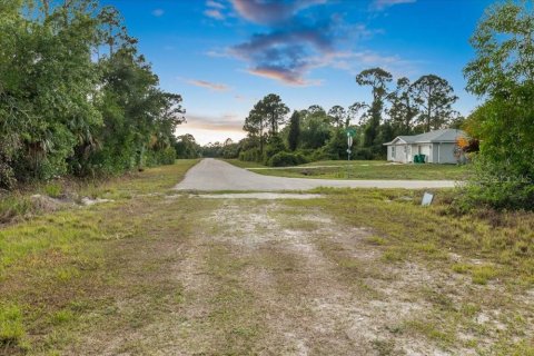 Land in Punta Gorda, Florida № 2161636 - photo 19