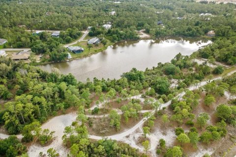Land in Punta Gorda, Florida № 2161636 - photo 5