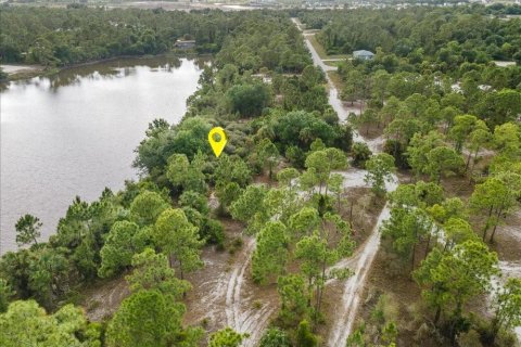 Land in Punta Gorda, Florida № 2161636 - photo 6