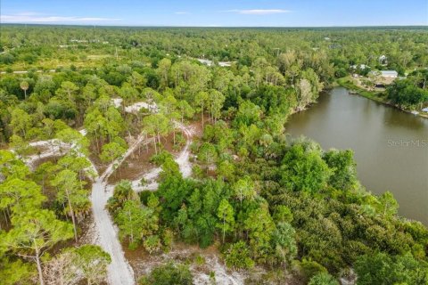 Land in Punta Gorda, Florida № 2161636 - photo 12