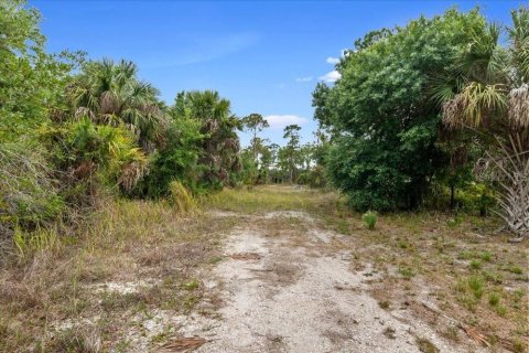 Land in Punta Gorda, Florida № 2161636 - photo 17