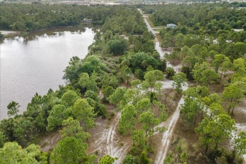 Land in Punta Gorda, Florida № 2161636 - photo 7
