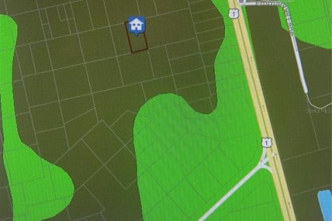 Land in Mims, Florida № 2158965 - photo 5
