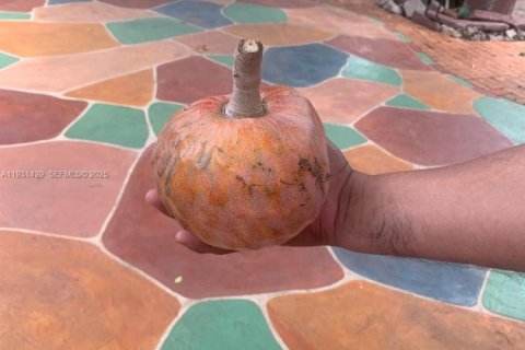 Купить виллу или дом в Майами, Флорида 4 спальни, 199м2, № 1990311 - фото 19