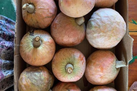 Купить виллу или дом в Майами, Флорида 4 спальни, 199м2, № 1990311 - фото 22