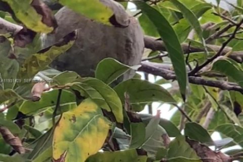 Купить виллу или дом в Майами, Флорида 4 спальни, 199м2, № 1990311 - фото 30