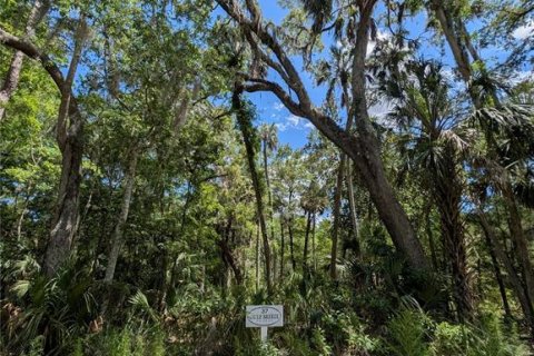 Land in Inglis, Florida № 1793653 - photo 2