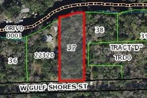 Land in Inglis, Florida № 1793653 - photo 4