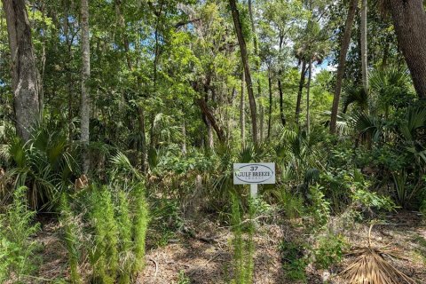 Land in Inglis, Florida № 1793653 - photo 1