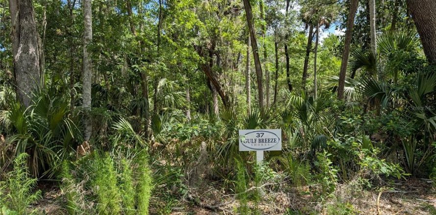 Land in Inglis, Florida № 1793653