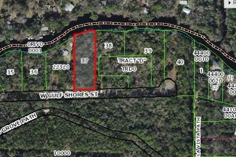 Land in Inglis, Florida № 1793653 - photo 3