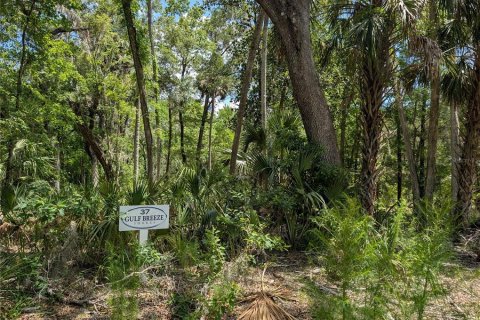 Land in Inglis, Florida № 1793653 - photo 5