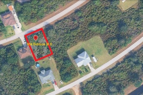 Land in Lehigh Acres, Florida № 2163403 - photo 2