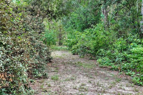 Land in Brooksville, Florida № 2211533 - photo 4