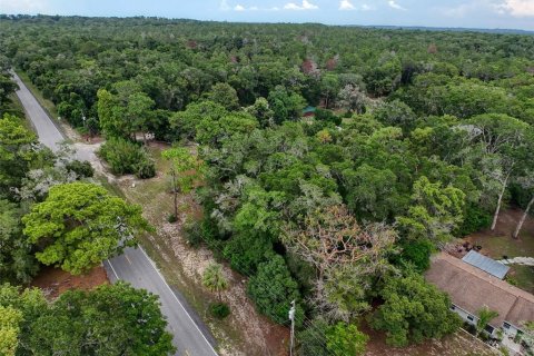 Land in Brooksville, Florida № 2211533 - photo 23
