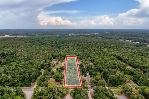 Land in Brooksville, Florida № 2211533 - photo 6