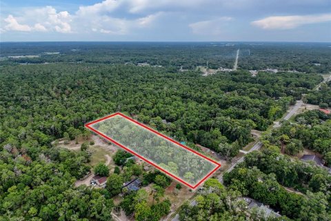 Land in Brooksville, Florida № 2211533 - photo 13