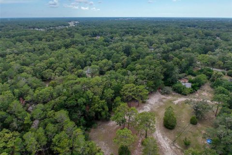 Land in Brooksville, Florida № 2211533 - photo 20